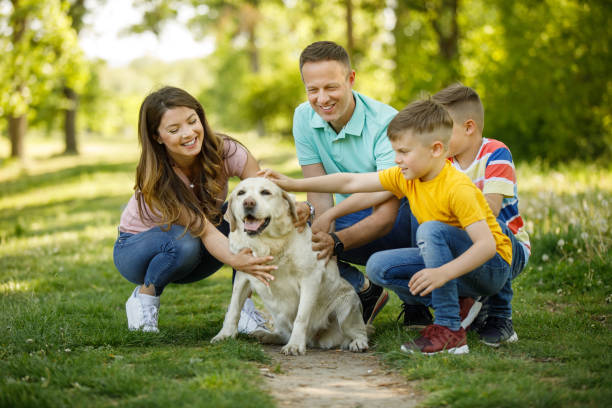 family dog
